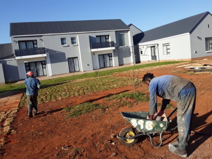 Landscaping